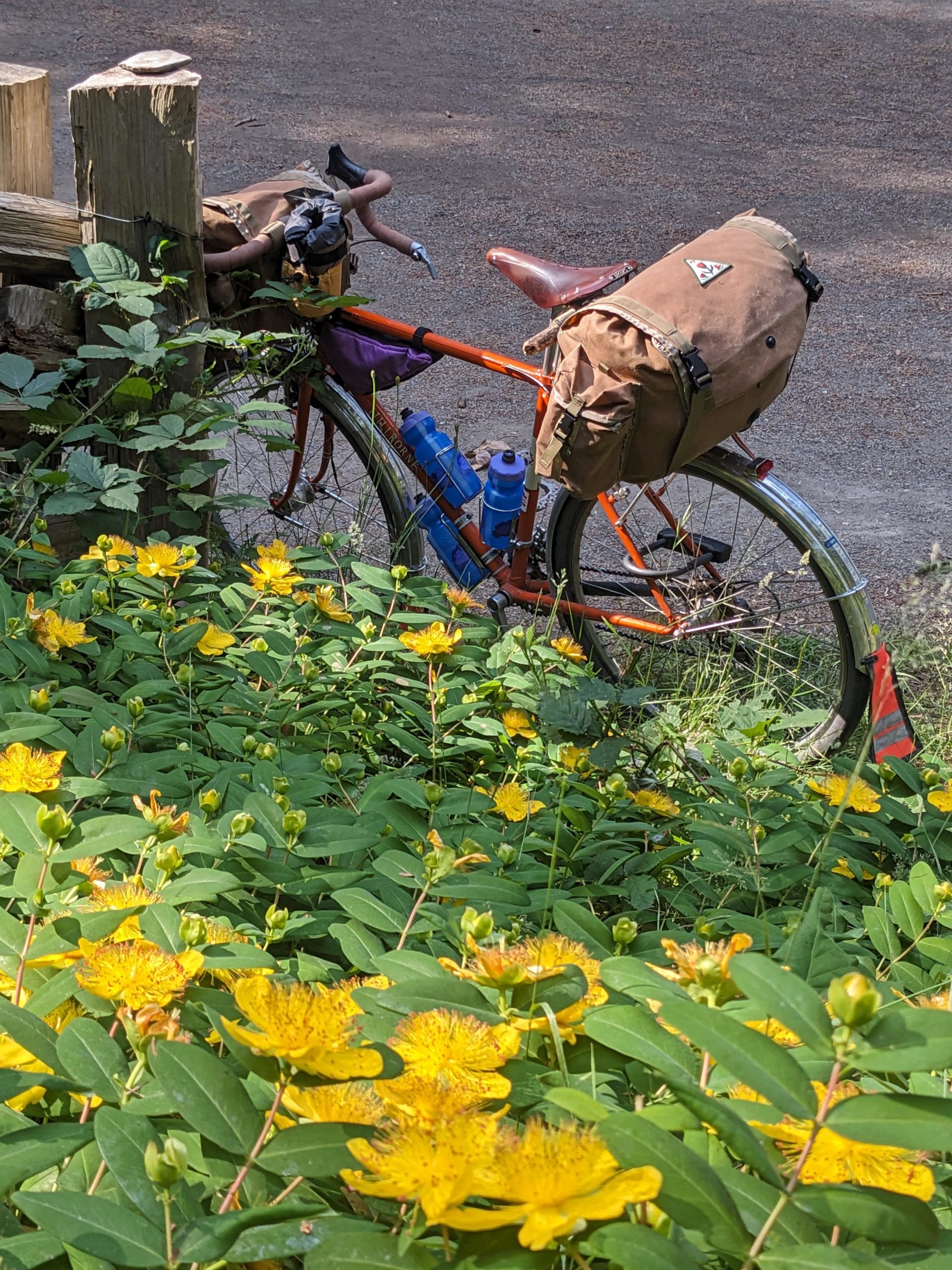 Ride Report: Swift Campout overnighter 2023