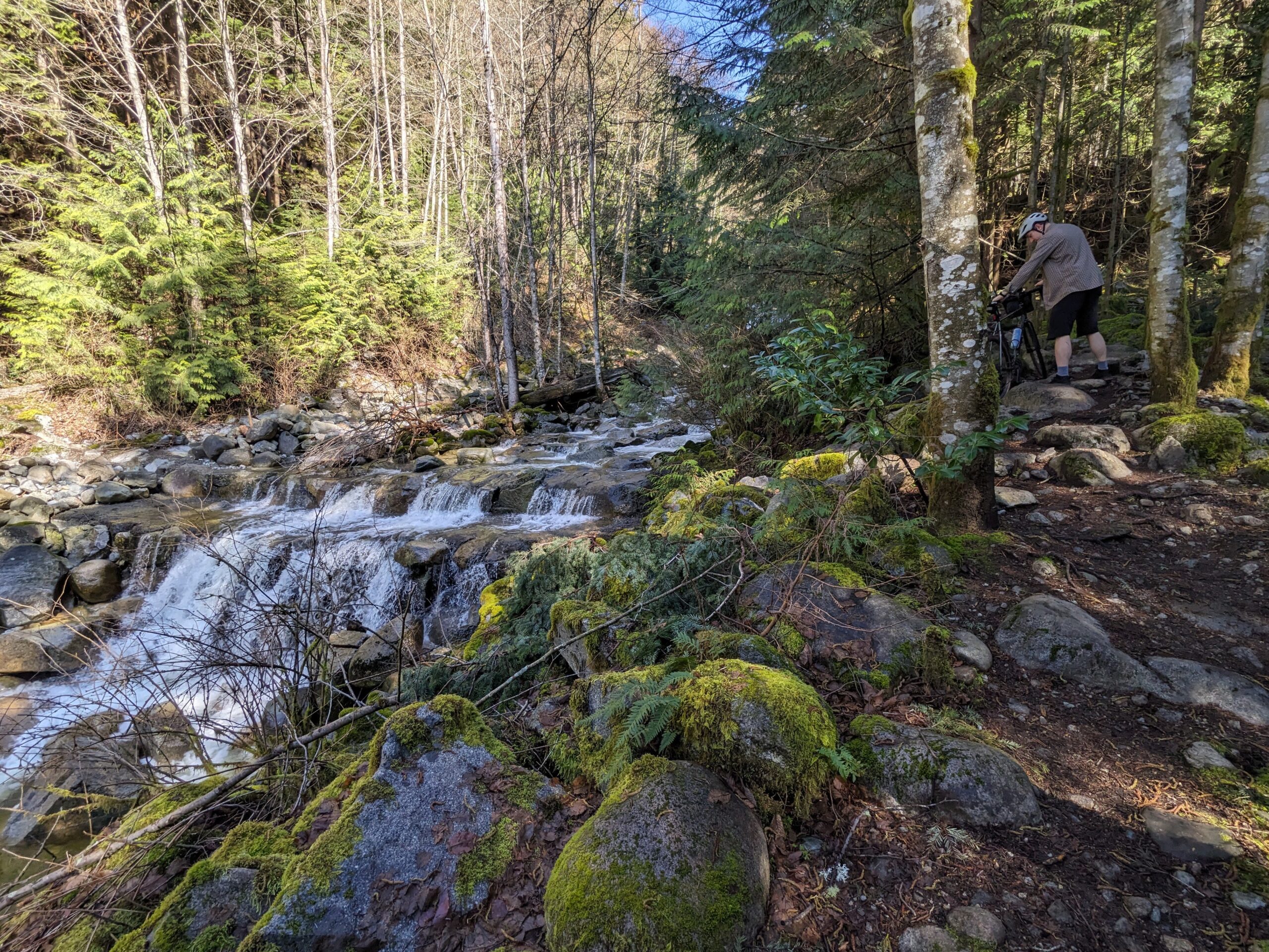 2024-03-24 Mosquito Creek