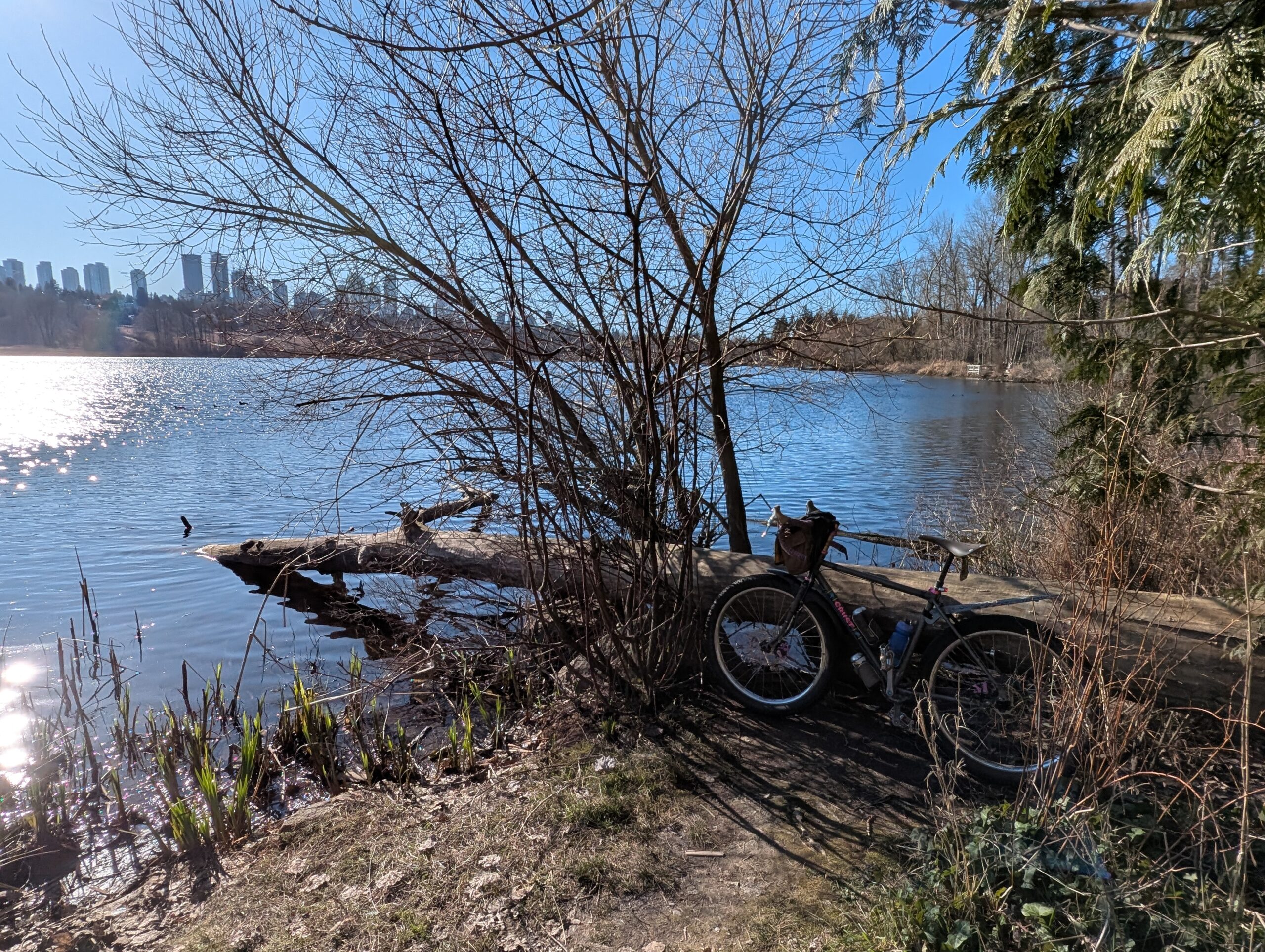 2026.03.01: Leia’s birthday and a Deer Lake loop