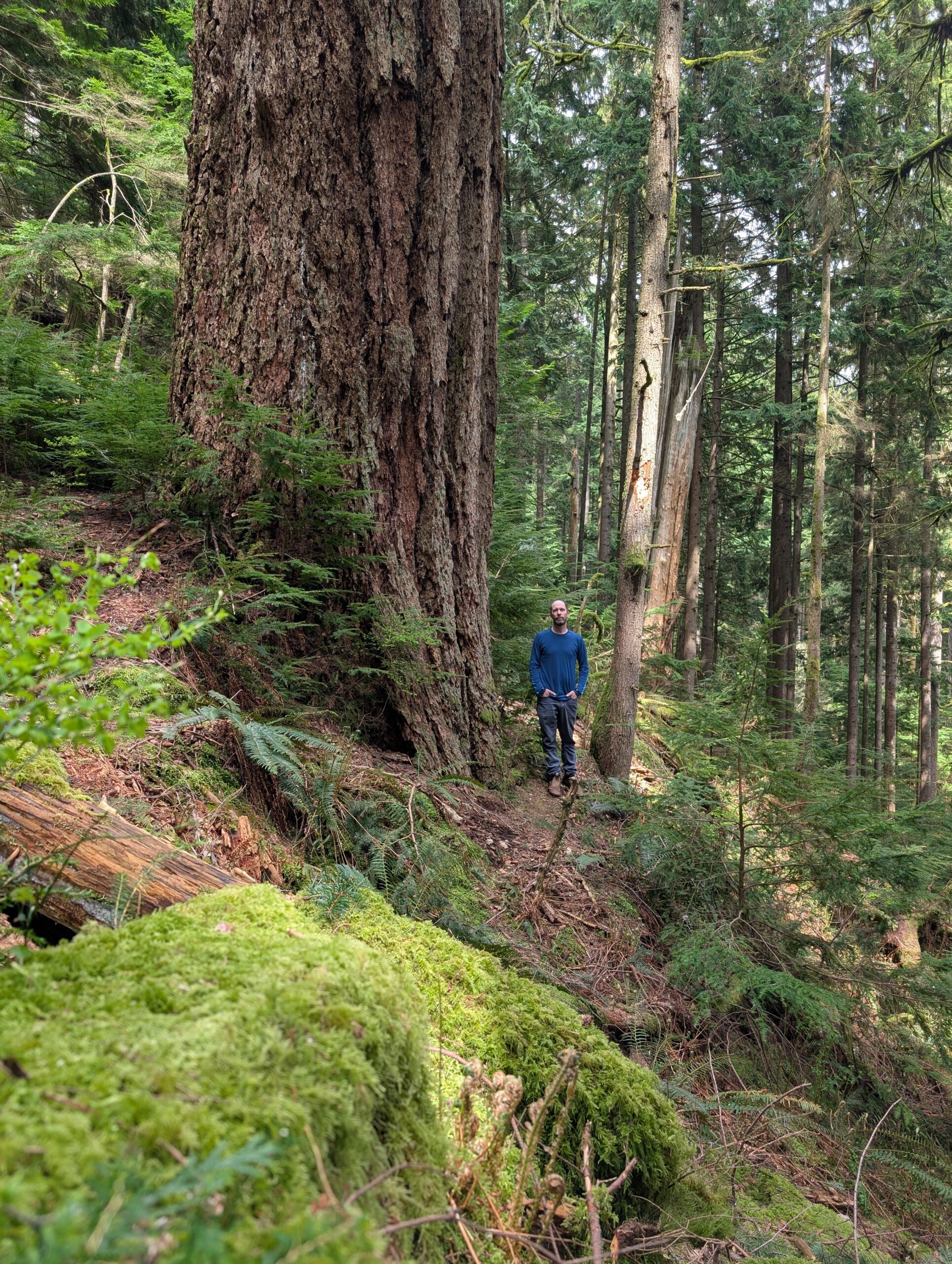 2026.04.22 – Temple Giant Redemption