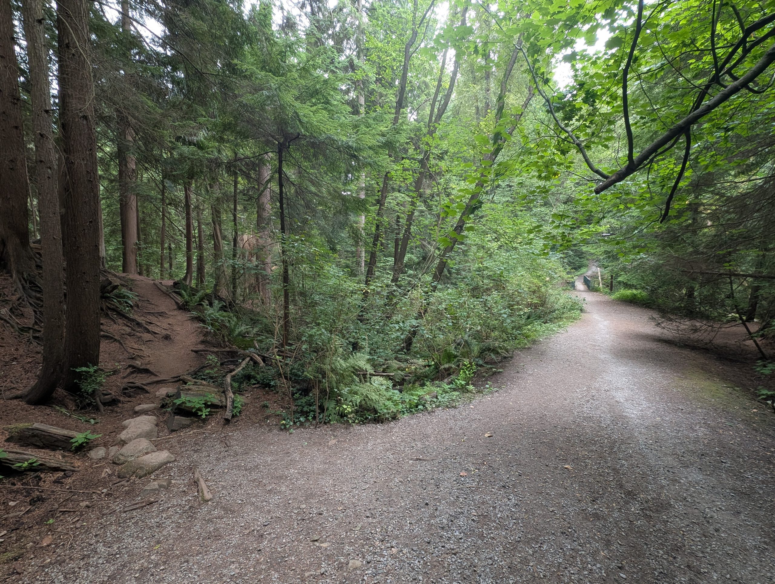 2026.08.22 – McKay Creek