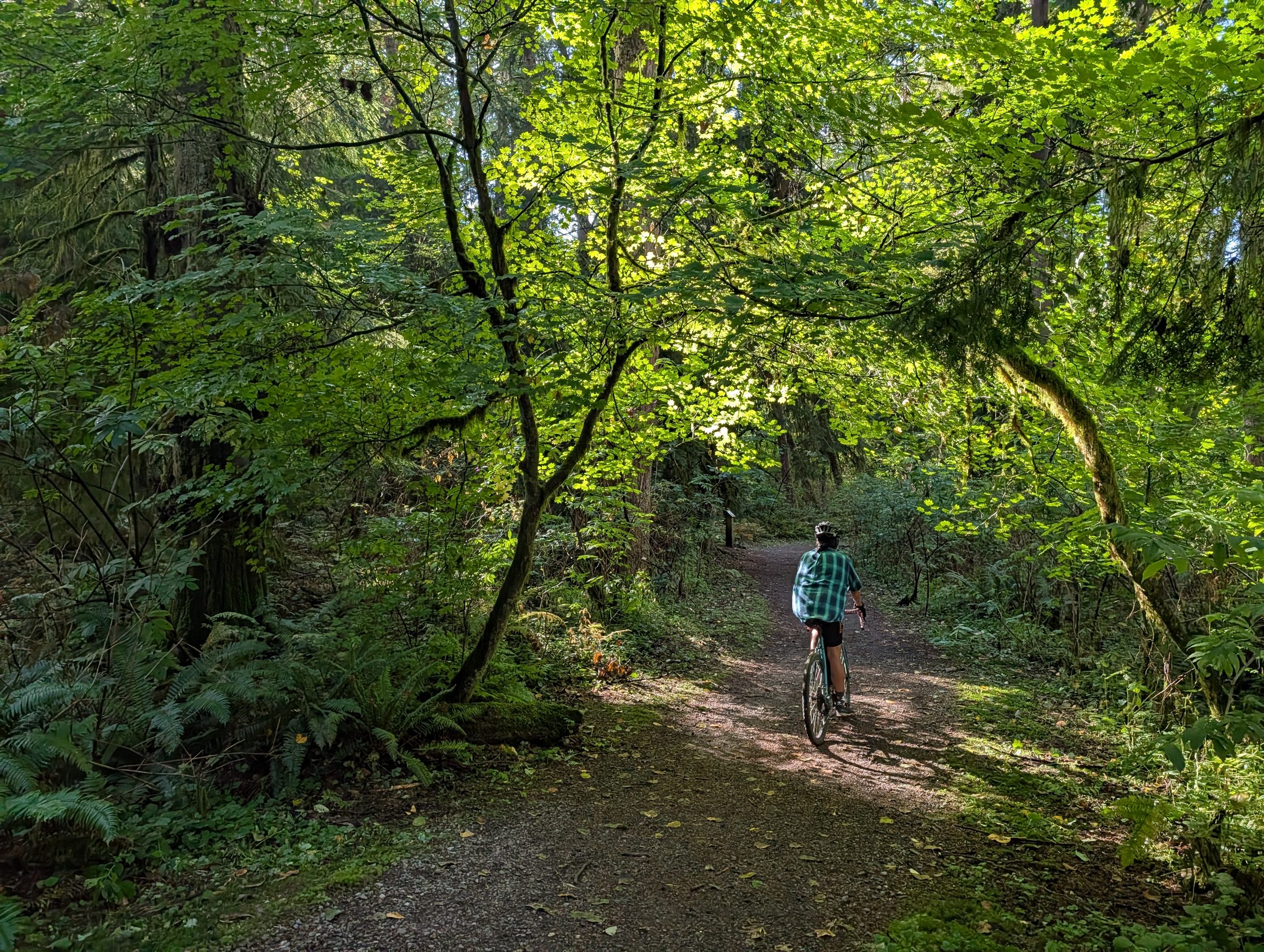 2026.09.26 Burnaby Mountain Loop